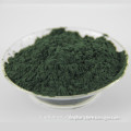 High quality Natural Spirulina/Chlorella Powder